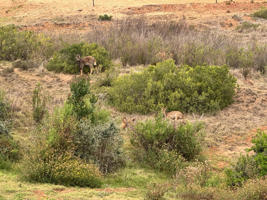 4 Bedroom Property for Sale in Outeniquasbosch Western Cape